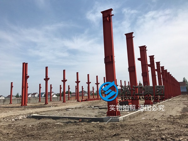 上海淞江減震器集團南通工廠項目進展報告