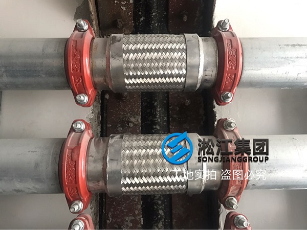 上海銀商科技園卡箍式金屬軟管使用現場