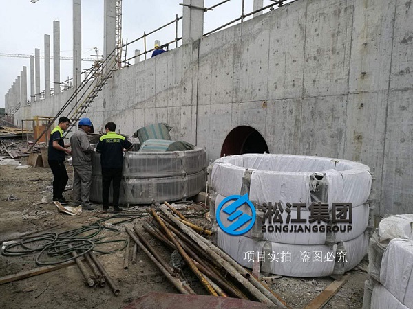 上海市竹園污水處理廠使用現場