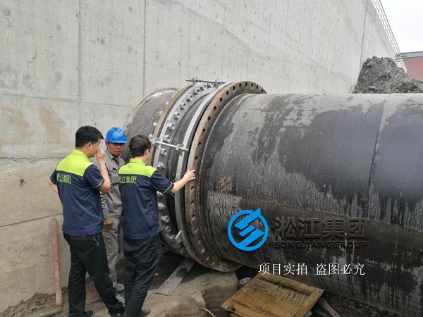 上海市竹園污水處理廠使用現場