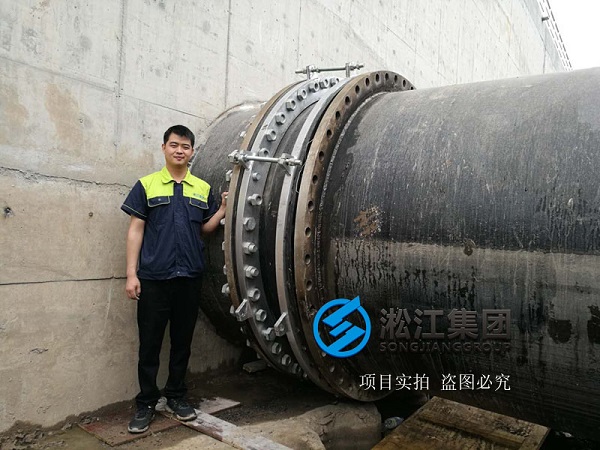 上海市竹園污水處理廠使用現場